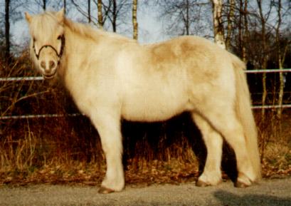 Feti.staatsieportret.1