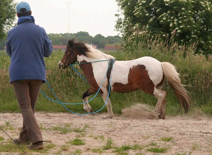 þiða.dubbellonge.Sandra.2762.11.6'16